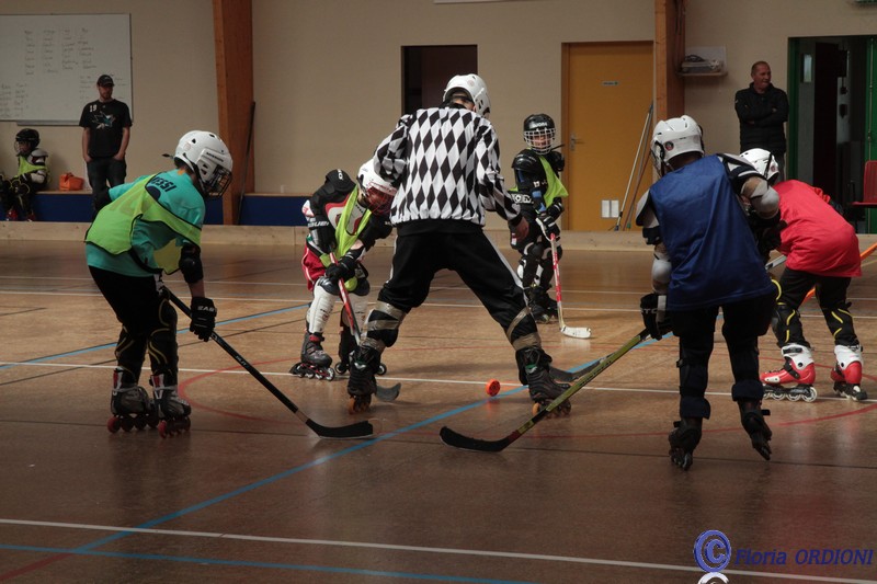 Hockey_jeunes_Chateau_Landon_20160515_7820.jpg